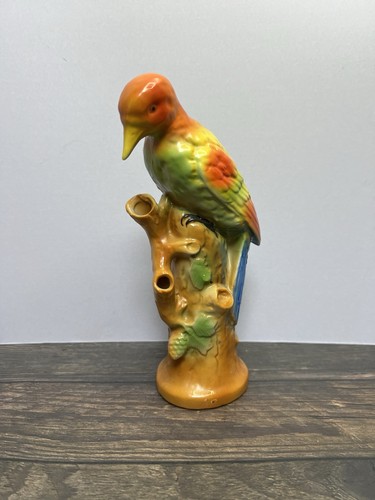 Vintage exotic bird on - 40’s,