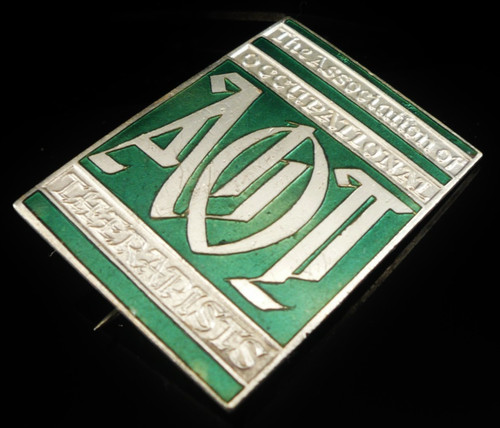 Vintage enamel nurses badge - enamel,