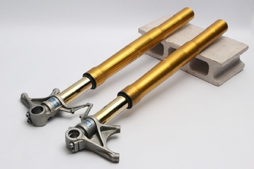 Ducati 1199 panigale ohlins - 1199, s