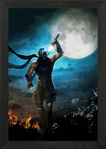 Ninja gaiden framed - ninja,