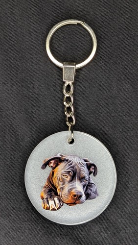 Staffordshire bull terrier - staffordshire,
