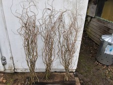 Twisted Willow Bunches