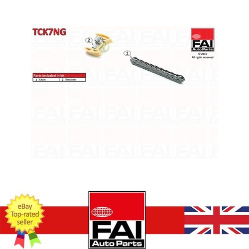 Timing chain kit - kit, citroen