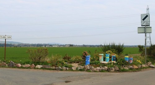 Photo 6x4 roadside - roadside, planters