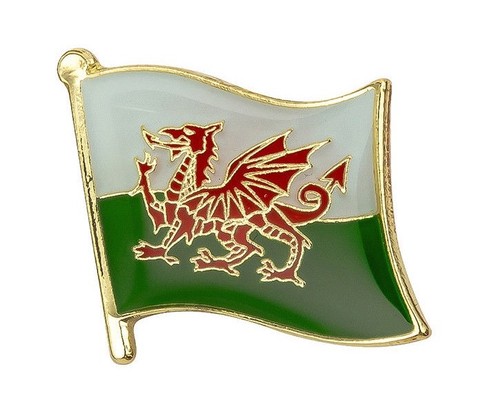 Cymru wales flag lapel - flag, pin