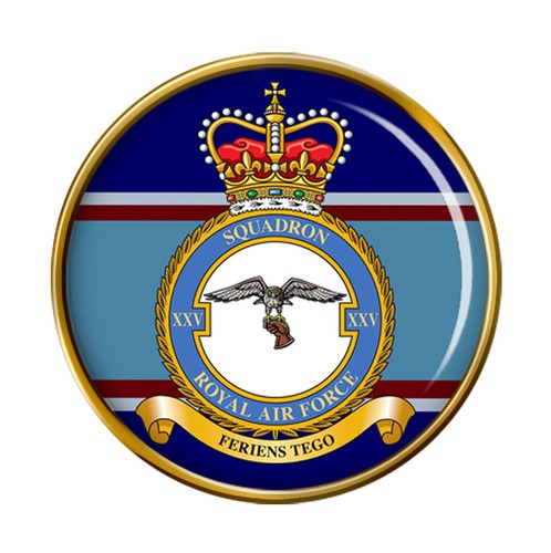 Squadron raf pin badge - 25,
