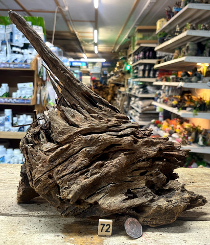 Medium natural bogwood - natural,