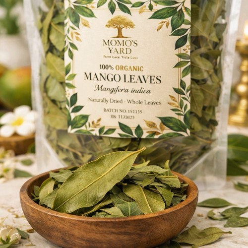Organic dried mango leaves - dried,