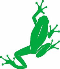 Cute frog car - cute,