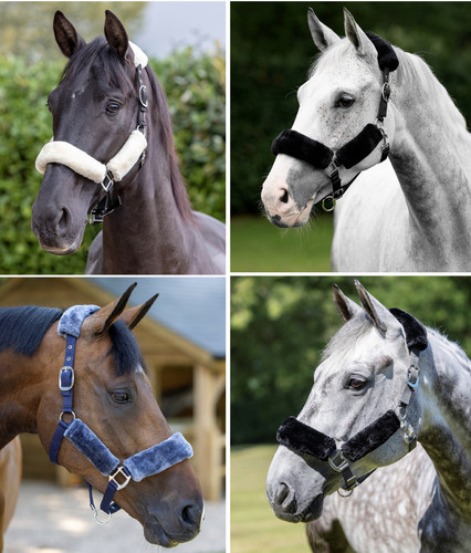Lemieux comfort headcollar - comfort,