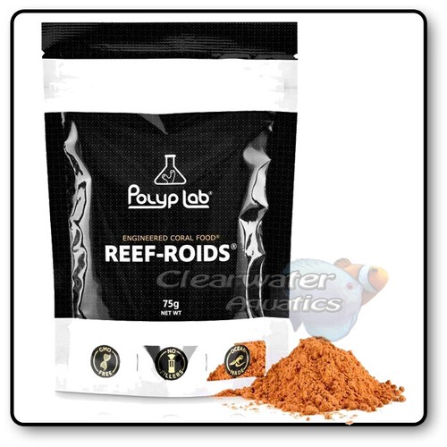 Polyp lab reef - reef, marine