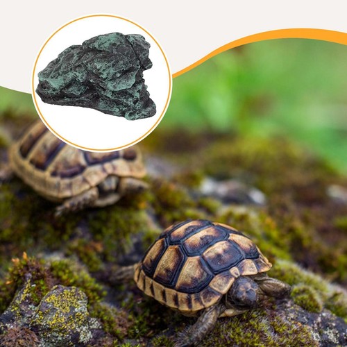 Turtle basking cave tortoise - cave,