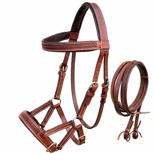 Horse western english - horse, leather