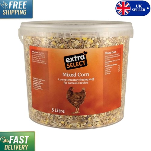 Mixed corn poultry feed - corn,