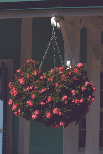 Hanging basket swivel hooks - basket,