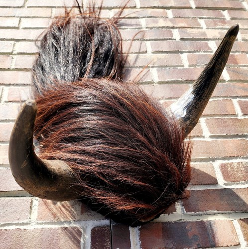 Buffalo horn manmade - buffalo,