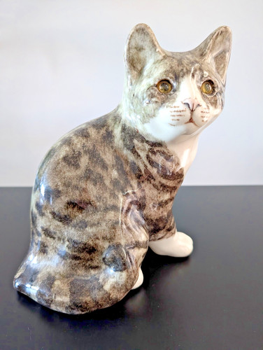 Winstanley tabby white - white, cat
