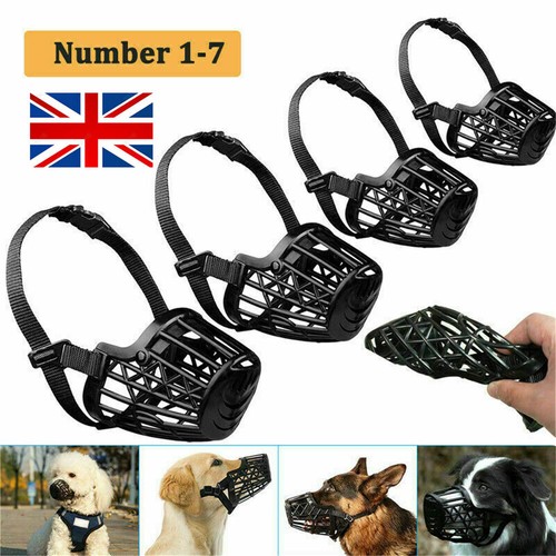 Pet dog basket muzzle - basket, mouth