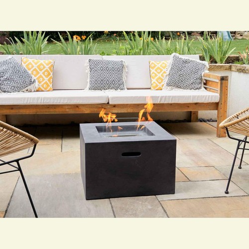 Field flame cassia - cassia, square