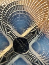 R. Lalique “Coquilles”