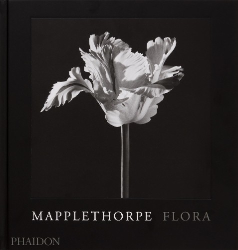 Mapplethorpe flora robert - flora,