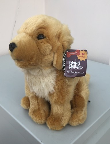 Living nature golden retriever - living,