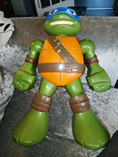 Teenage mutant ninja turtles - teenage,