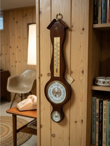 Vintage wood banjo - banjo, weather