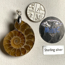 AMMONITE GONIATITE PENDANT 30x25MM WITH 925 STERLING SILVER BAIL, STAMPED 925