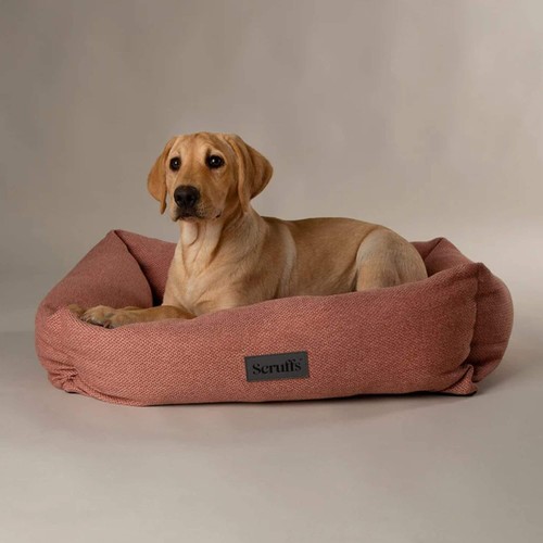 Scruffs seattle box - box, bed
