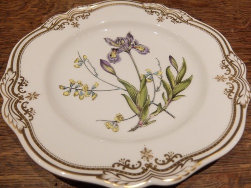 Spode stafford flowers china - stafford,