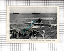 Cruiser Ship SOUTHAMPTON