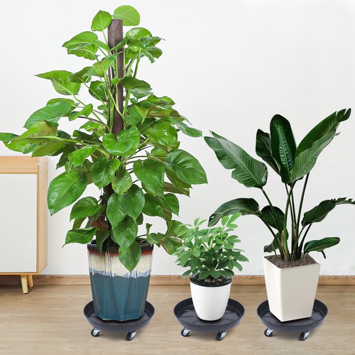 Pack plant dolly rolling - dolly,