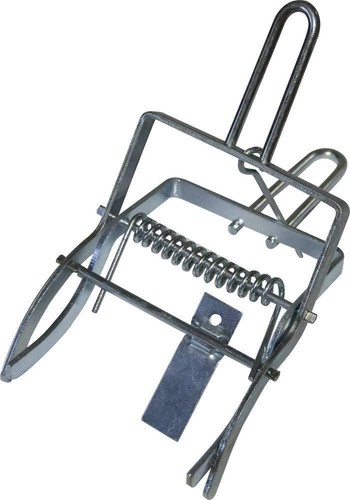 Pest stop claw mole - pest,