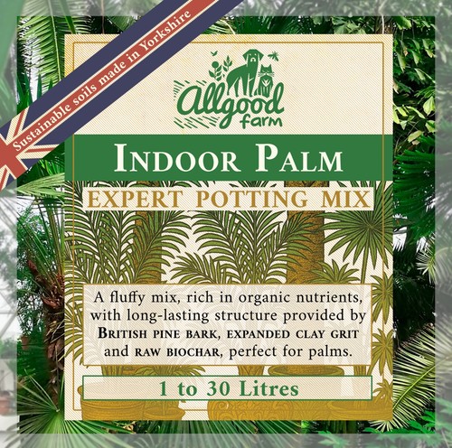 Indoor palm expert potting - indoor,