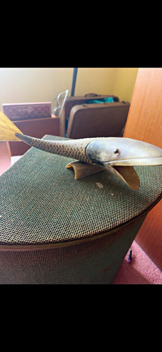 Hand crafted cow horn fish
