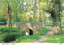 D177527 Eastcote. Cheney Street. Judges. C. 2122. X