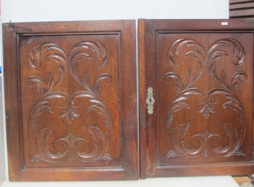 Antique wooden panel doors - antique,