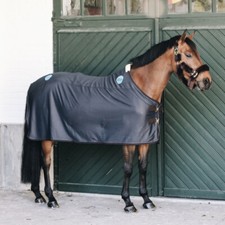 Kentucky Horsewear Magnetic