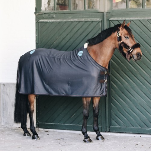 Kentucky horsewear magnetic - kentucky,