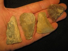 4 Authentic Central Texas