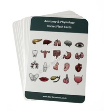 25x Anatomy & Physiology Flash