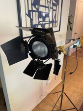 Lowel Pro Light with barn
