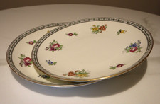 Set of 2 Royal Cauldon Dinner