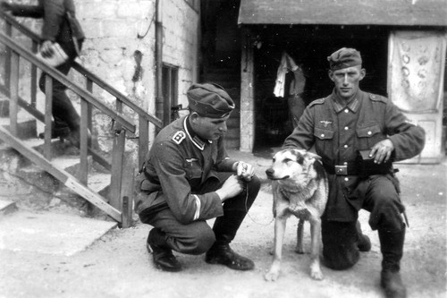 Wwii photo german soldiers - wwii,