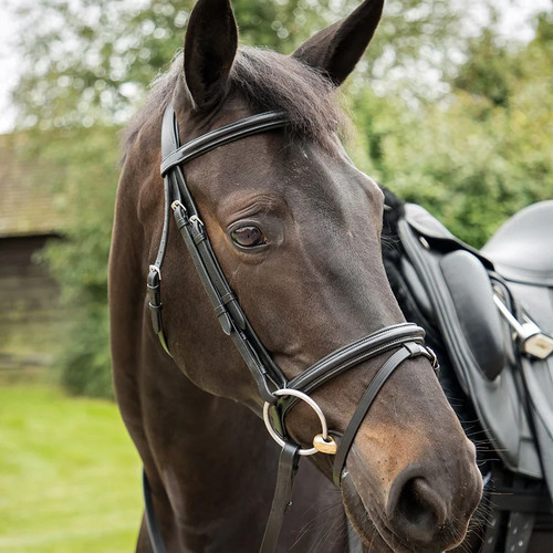 Elite training bridle black - km,