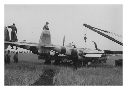 Lockheed p38 364th fighter - lockheed,