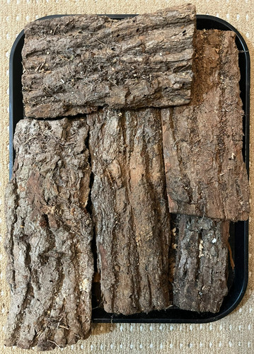 1kg box oak bark - box,