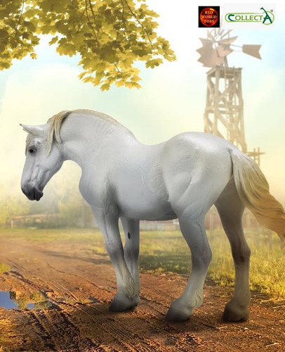 Percheron grey mare - mare, horse