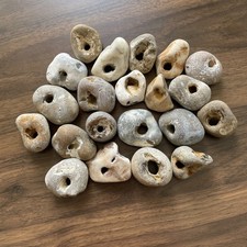 Twenty Natural Hag Stones